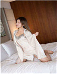 《恐龙巴塔哥尼亚巨兽》