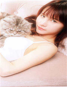 《2010金芒果粉丝节》