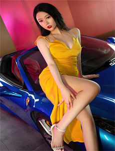 《龙巡天下全集》
