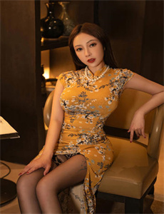《包青天之铡美案全集》