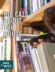 亚托莉我挚爱的时光