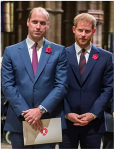 最后看见的街2024