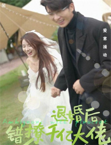 天梯:蔡国强的艺术