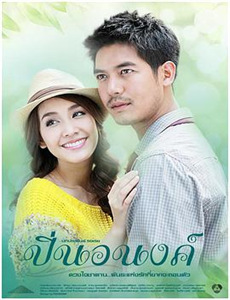 芝加哥烈焰 第九季